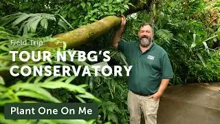 Tour NYBG's CONSERVATORY  — Ep. 389