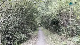 Walking a quiet trail under cloudy skies