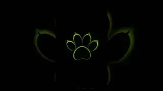 эдит Cat Noir 💚🖤🥵