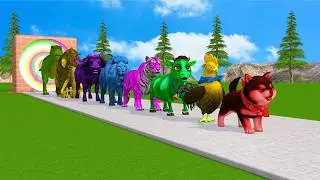 Paint & Animals Duck,Dog,Cat,Lion,Elephant,Cow,Sheep Fountain Crossing Transformation Animal Cartoon