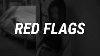 Mimi Webb - Red Flags (Lyrics)