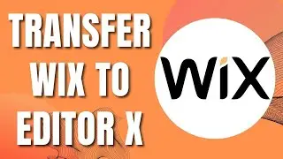 How To Transfer Wix Website To Editor X (New Guide 2023)