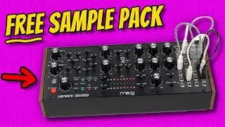 Moog Labyrinth - Preset Demo (+ FREE Sample Pack!)