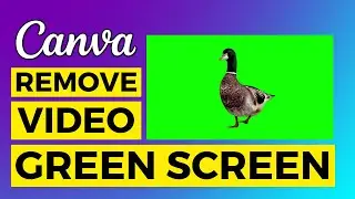 How to Remove Green Screen in Canva