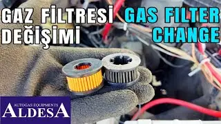 GAS FILTER CHANGE (aldesa)