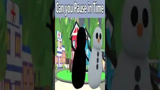 Can you pause in time snowman 