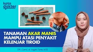 TANAMAN AKAR MANIS MAMPU ATASI PENYAKIT KELENJAR TIROID | KATA DOKTER