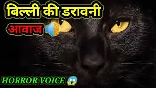 बिल्ली की डरावनी आवाज सबसे खतरनाक || BILLI KI DARAVANI AWAAZ SABSE KHATARNAK || ☠️☠️