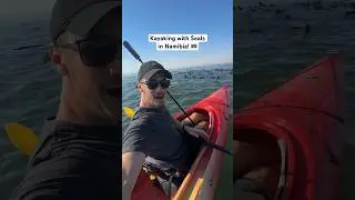 Kayaking with 10000 seals in Namibia 🇳🇦!