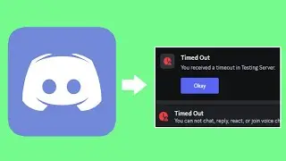 How to Give Someone a Timeout in a Discord Server!