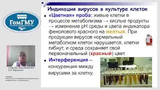 Е.А.Барсукова. Методы индикации и идентификации вирусов.Серологическая диагностика вирусных инфекций