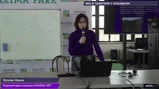 Мария ЖУКОВА, MAXIMA VET: О ВАЖНЫХ ОСОБЕННОСТЯХ показателей КРОВИ высококровных пород лошадей