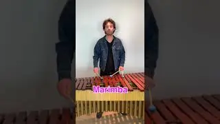 "Opening" iPhone Ringtone on 4 Different Mallet Instruments