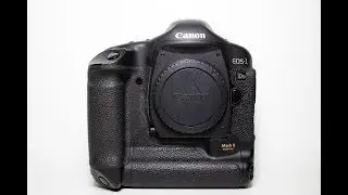 Canon EOS 1DS Mark II in 2018? Overview and Sample Images.