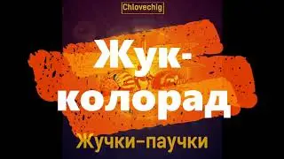 Жук-колорад