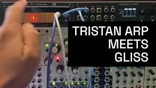Tristan Arp meets Gliss