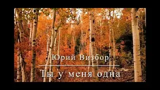 Юрий Визбор - Ты у меня одна - Guitar Karaoke / Караоке под гитару