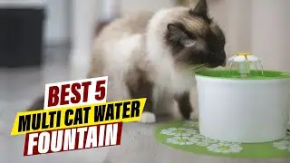 Best Multi-Cat Water Fountains: Keep Your Felines Hydrated & Happy