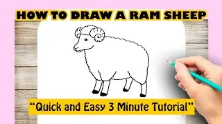 How to Draw A RAM SHEEP EASY STEP BY STEP