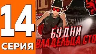 ПУТЬ ДО ТРАНСПОРТНОЙ КОМПАНИИ НА БЛЕК РАША #14 | БУДНИ ВЛАДЕЛЬЦА СТО BLACK RUSSIA