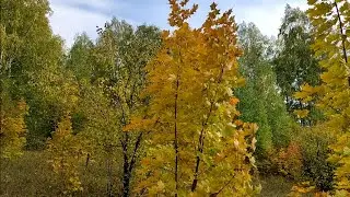 Дорога на 