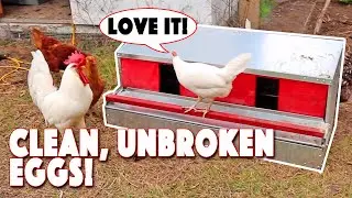 Roll Out Nest Boxes For Chickens! Saves Eggs | Hengear