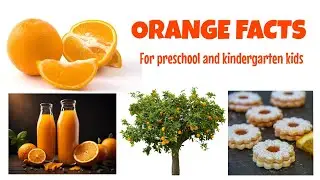 Learn about Orange #preschool #kindergarten #kids