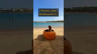 Отель 5* в Египте - цена/качество 👍 