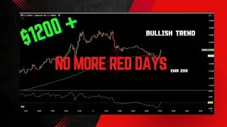 Strategy Scalping Ultimate: RSI + Exponential Moving Average | Scalping 5 Min