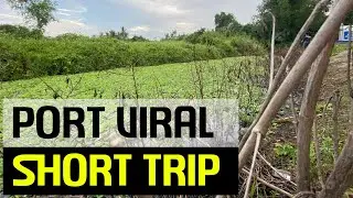 Port Viral, Short Trip