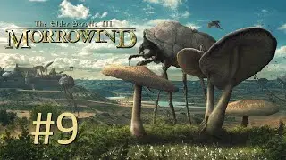 Прохождение The Elder Scrolls III: Morrowind - Часть 9. Двемерские руины возле Кальдеры