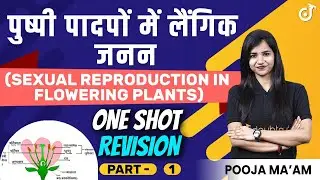 पुष्पी पादपों में लैंगिक जनन in Hindi | One Shot Revison - PART 1 | Class 12 जीव विज्ञान Chapter 2