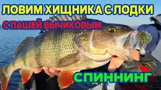 Спиннинг с лодки, ловим щук и окуней с Пашей Вычиковым