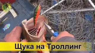 Удачная ловля щуки троллингом на воблер с лодки р. Десна