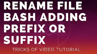 Rename multiple files in Linux adding prefix or suffix in the filename - Ubuntu - Bash