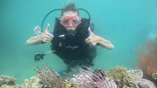 💥Нячанг 💥 Дайвинг💫💯Синяя Волна Нячанг 🌊 Blue wave NHA TRANG 