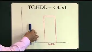 Heart disease 5, Cholesterol