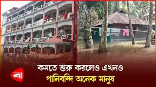 নোয়াখালীর বেগমগঞ্জে কমতে শুরু করেছে বন্যার পানি, বাড়ছে দুর্ভোগ | Noakhali | Flood Update