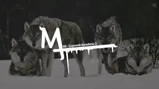 Çırpınırdı Karadeniz 2