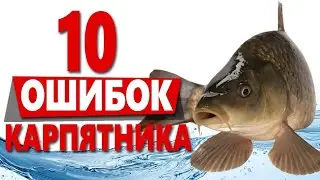 Почему карп не клюет? 10 ошибок начинающего карпятника.