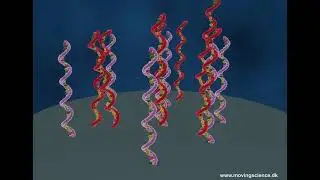 DNA array (chinese speak)