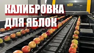 Калибровка для яблок