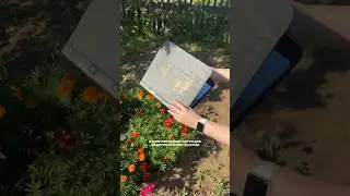 Подарок для нумизматов и бонистов 💵🪙 Не забудь поставить лайк и подписаться❤️