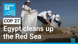 For COP27, Egypt cleans up tourist destinations around the Red Sea • FRANCE 24 English