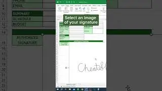 Signature in Excel‼️ #excel