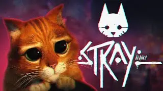 ОДИНОКИЙ КОТИК ПОТЕРЯЛСЯ В ПУСТОМ ГОРОДЕ | ПРОХОЖДЕНИЕ STRAY