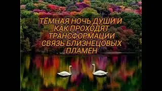 ТЕМНАЯ НОЧЬ ДУШИ И КАК ПРОХОДЯТ ТРАНСФОРМАЦИИ СВЯЗЬ БЛИЗНЕЦОВЫХ ПЛАМЕН☀