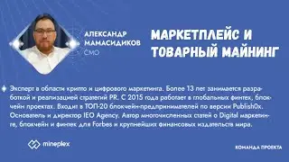 маркетплейс и товарный майнинг, сквозной сервис авторизации, банкинг, о команде, процессинг