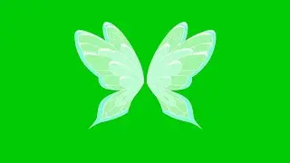 Animated 3D Beautiful Angel Butterfly wings with green screen background | 4K