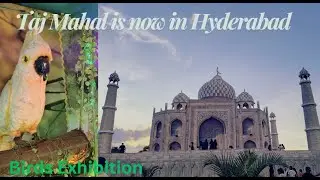 Experience the Taj Mahal in Hyderabad! Biggest Birds Exhibition at Kukatpally Explore the Taj Mahal